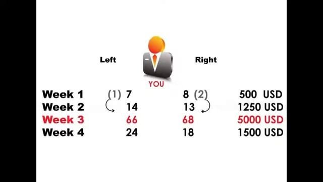 Презентация QNet