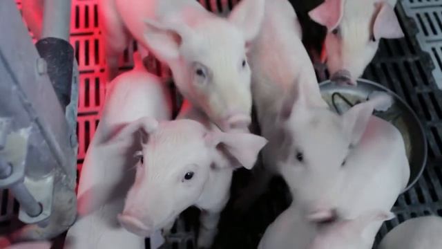 Виртуальная экскурсия 2 смотреть онлайн