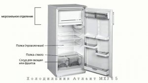 Холодильник АТЛАНТ МХ 365