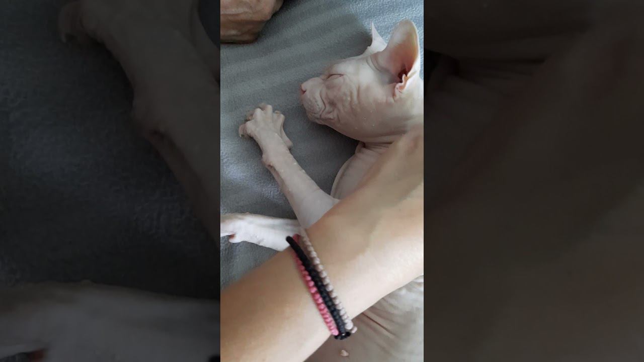 Массаж Аману смотреть онлайн