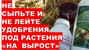 Почему нельзя использовать удобрения на вырост Why you can’t use fertilizers in the spring “for grow