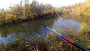 Шашлык на печке щепочнице