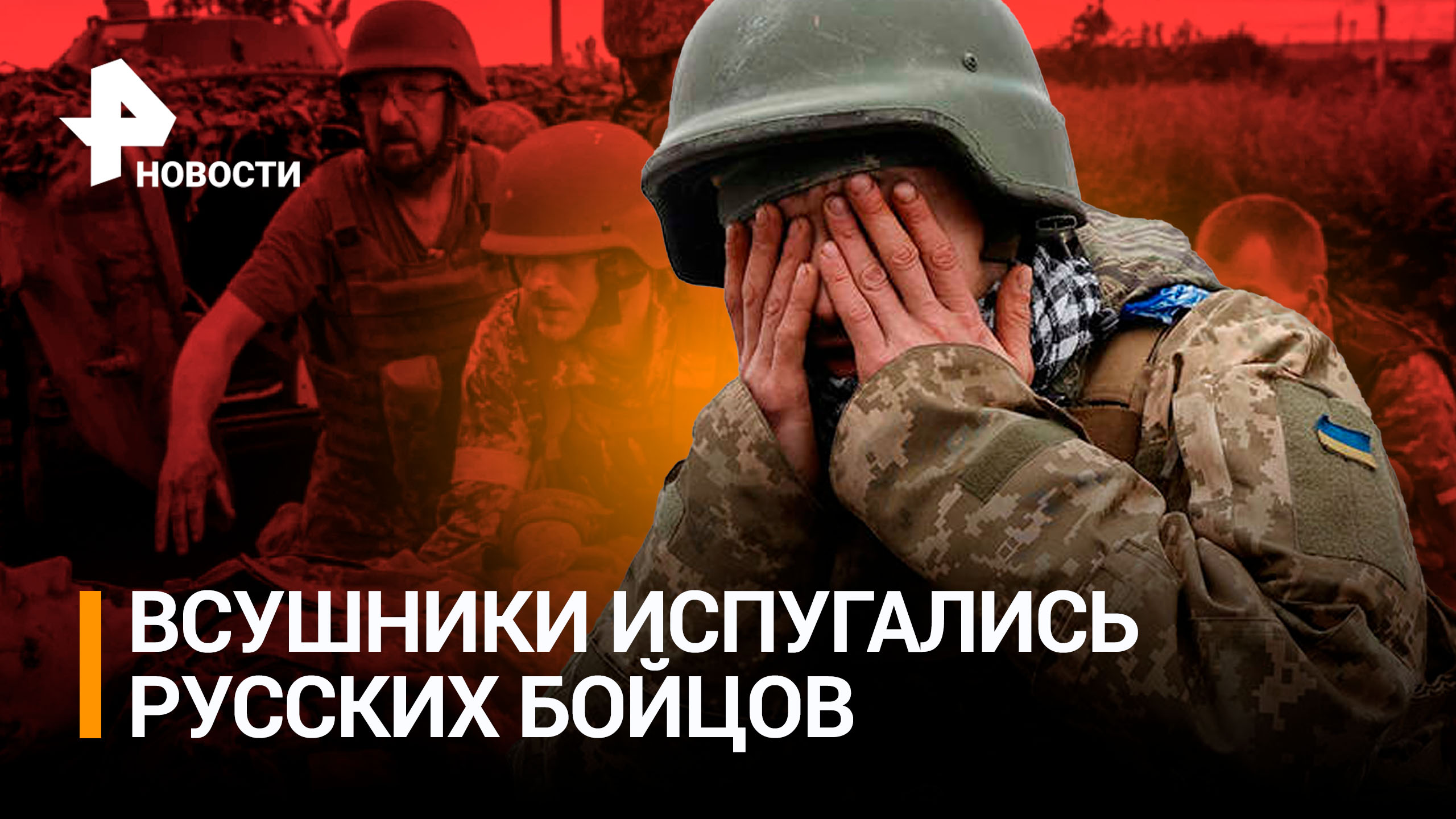 "Шесть «двухсотых» лежит!": с боевиками расправились в Кременском лесу