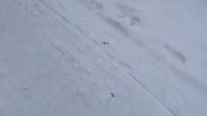 Страничка Надежды о суете /Надежда с Максом или с Максим Сергеевичем ?