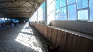 Конный спорт|Тренировка от первого лица|На Жасмин