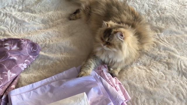 ТЕКСТИЛЬ ДЛЯ ДОМА / МАГАЗИН ИВТЕКС37.РФ / KATRINA BERRY смотреть онлайн