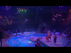 До окончания шоу «Цирк на воде» в Сочи осталась неделя