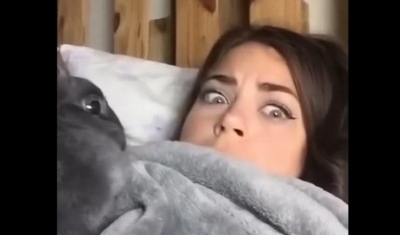 Смешные приколы Февраль 2023 #110 смотреть онлайн