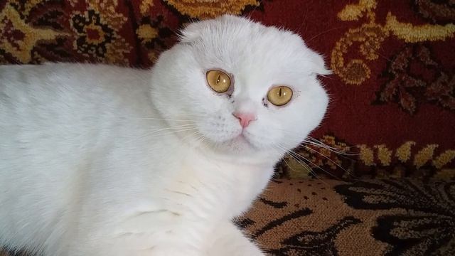 меня снимают))))круто))))