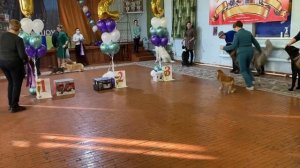 Выставка собак 5.02.2023 Эксперт: Ирина Соловьёва г.Благовещенск Best in junior-2???