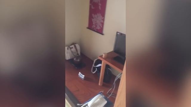 Номер в японском стиле смотреть онлайн