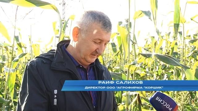 Заготовка кормов в Кировской области почти завершена