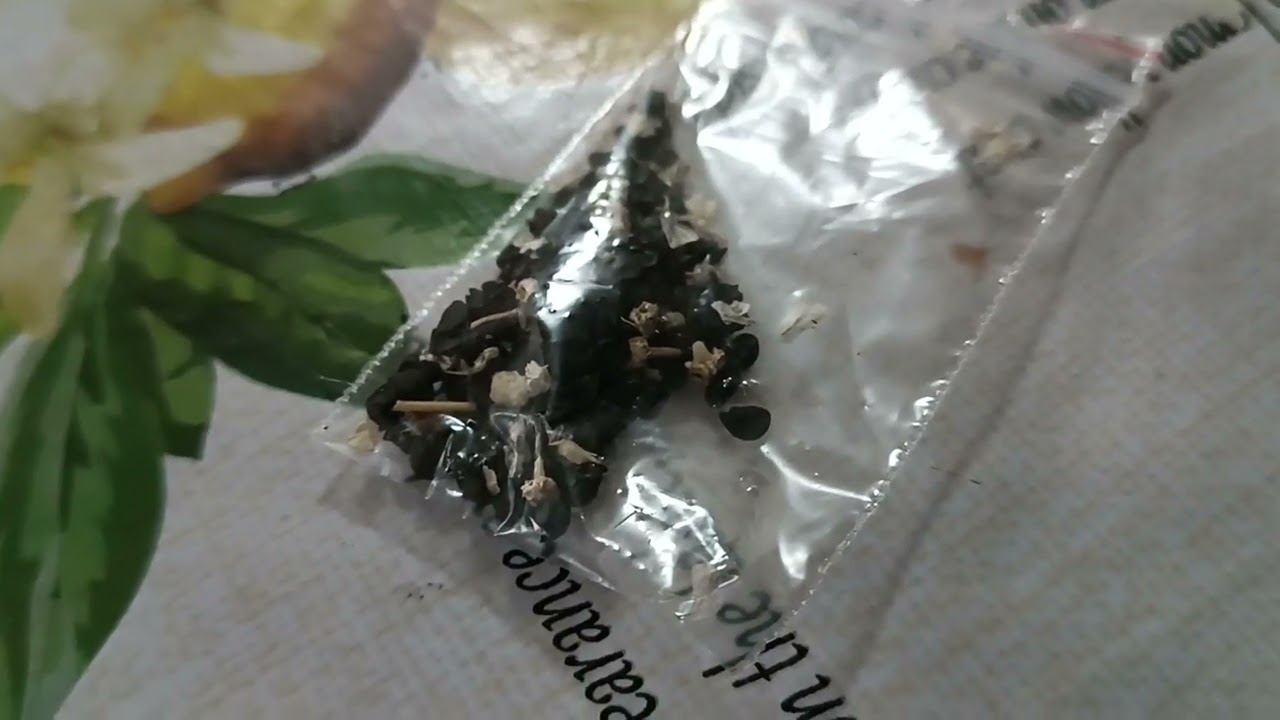 Лук "Сережа" от Иры Ливачук))) смотреть онлайн