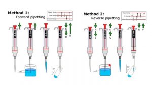 Forward  Pipetting vs Reverse Pipetting