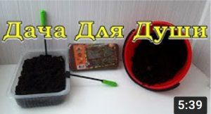 КОКОСОВЫЙ СУБСТРАТ или ЗЕМЛЯНОЙ ГРУНТ для рассады?