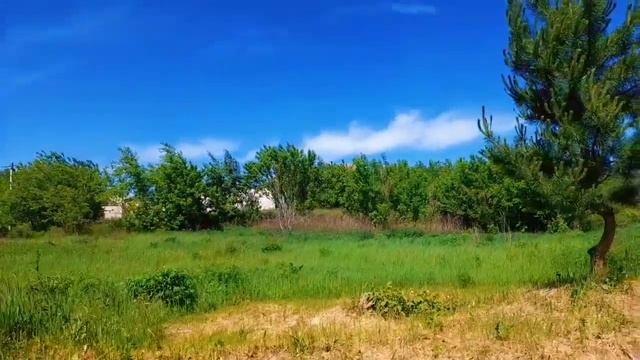 Деменция. Несут все в дом / Прогулка / Луна, луна.. смотреть онлайн