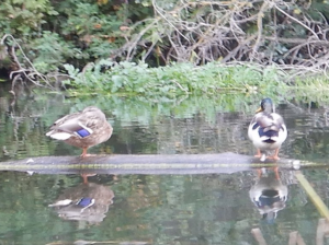 30 сентября 2023 Сейм