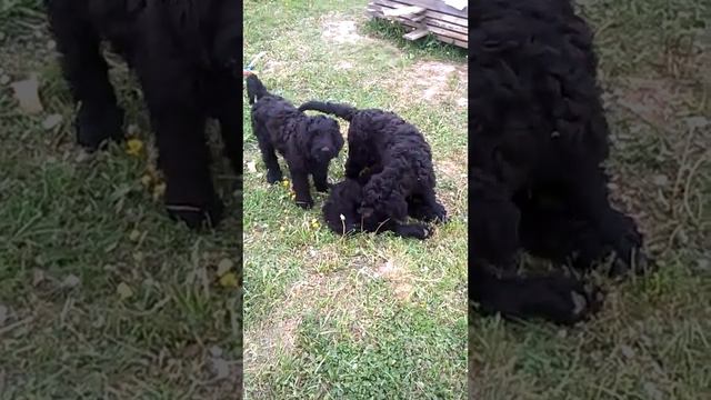 WP 20170610 17 42 25 Pro смотреть онлайн