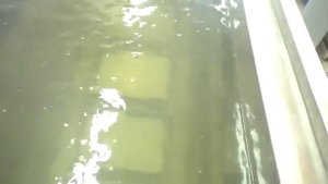 Ультразвуковая ванна (3000х500х1400 мм)