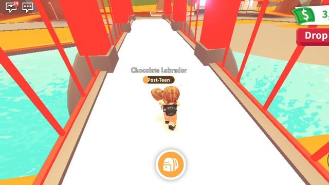 Нашли на карте тайную комнату в Адопт Ми | Играем в Роблокс смотреть онлайн