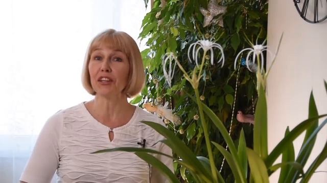 5 лучших многолетников для сада малого ухода смотреть онлайн