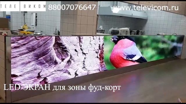 LED ЭКРАН для фуд-корт зоны ресторана смотреть онлайн