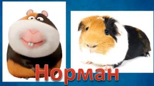 THE SECRET LIFE OF DOMESTIC ANIMALS IN REAL LIFE!! ТАЙНАЯ ЖИЗНЬ ДОМАШНИХ ЖИВОТНЫХ В РЕАЛЬНОЙ ЖИЗНИ!