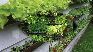 Вертикальные грядки на даче, очень красиво