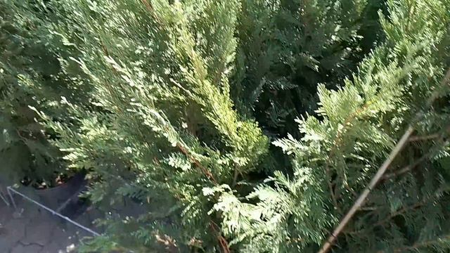 1000074203.mp4 смотреть онлайн