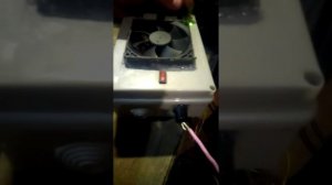 самодельный электропастух на трёх ne555