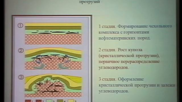 Леонов М.Г. Тектоническое совещание 31.01.2012 смотреть онлайн