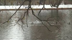 Усадьбы Суханово и Воронцово