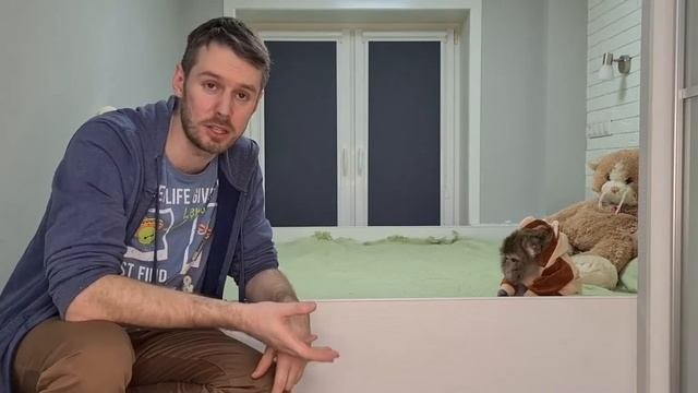 Приколы жизни с обезьяной. Дикие домашние. 4 серия.