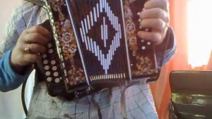 Шуйская гармонь С48 XL новая