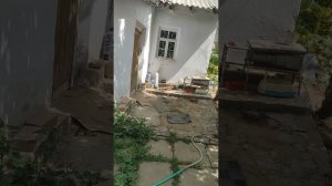 Дача 20 июня 2023г