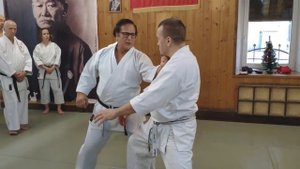 Альберт Боутбоул, 9 дан Шотокан Казэ Ха, о каратэ