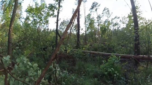Покраска. Новая штукатурка. Ситуация с баней смотреть онлайн