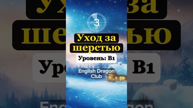 (13) ПЕРЕВЕДИ СЛОВА БЫСТРЕЕ ЧЕМ Я, Слова на английском языке #английскиеслова #английскийязык #шортс