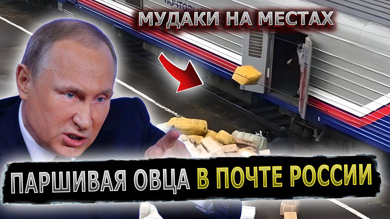 ПУТИН ВПРЯГСЯ ЗА ДЕВУШЕК #пранк #пранки #почта #посылка #посылки #обида смотреть онлайн