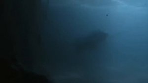 Интересные факты про выдр