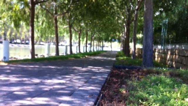 Oracle: Silicon Valley смотреть онлайн