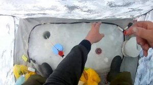 Рыбалка на Чёртовой яме! Река Чарыш! 15.03.2021.