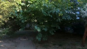 Дом Новомихайловский. Недвижимость Туапсе✅