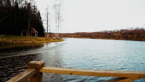 Серж Маркович анонсы видео с рецептами. База отдыха "Михайловский карп"