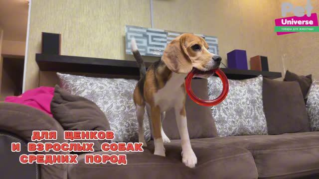 PU3058 Игрушка для собак Pet Universe пуллер прочное кольцо 13,5х1,8 см смотреть онлайн
