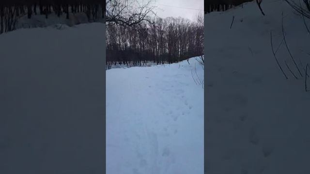 Молитва за Мир! 51- Все тайное становится явным. смотреть онлайн