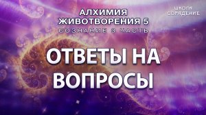 Ответы на вопросы Сознание 3 часть #Гарат #Сознание3 #Алхимияживотворения #школаСорадение