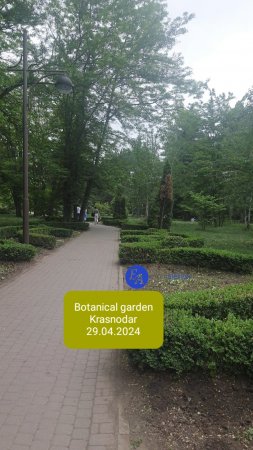 Botanical garden / Clip
(Ботанический сад / Ролик)