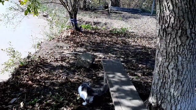 ЛАБА смывает наш дом🏠 смотреть онлайн