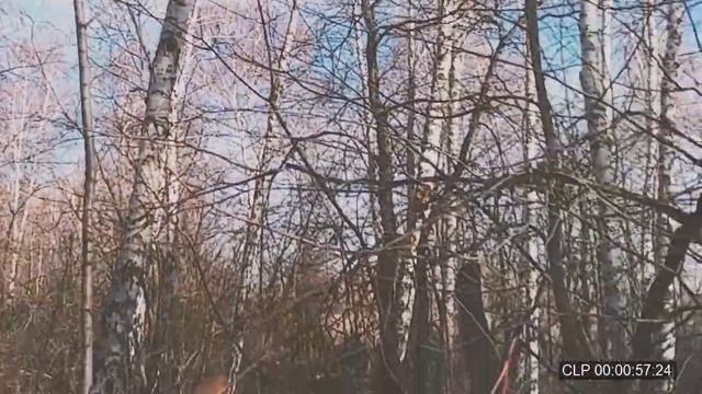 Прощай, сезон - 2021 смотреть онлайн